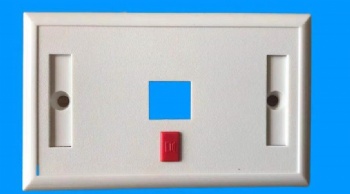 US Type Single Port Face Plate with Icon