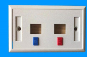 US Type Double Port Face Plate with Icon