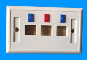 US Type Three Port Face Plate with Icon