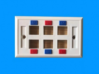 US Type Six Port Face Plate with Icon
