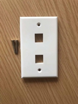 US Type Double Port Face Plate