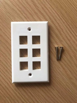 US Type Six Port Face Plate